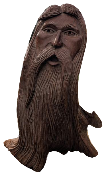Flowing-beard tree spirit, angle