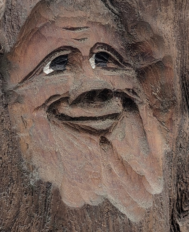 Forked tree spirit face detail