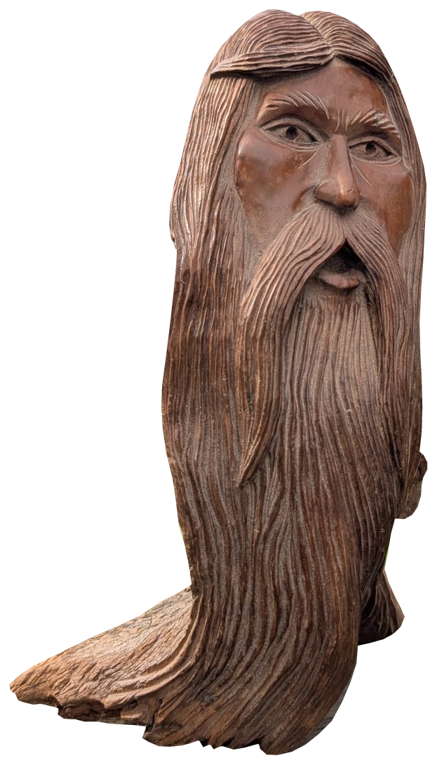 Flowing-beard tree spirit, angle