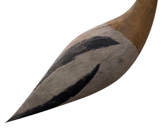 Straight-bill shorebird angle