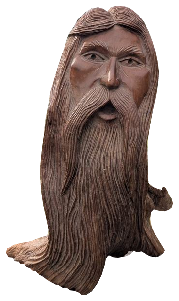 Flowing-beard tree spirit, angle